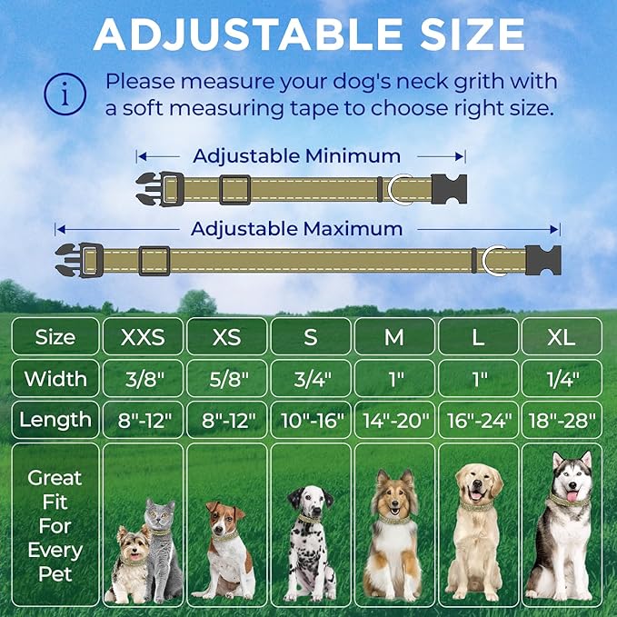 TECEUM Reflective Pet Collar – Olive – XS – Basic Nylon Dog Collar – Quick Release Buckle – Fits Small, Medium and Large Dogs, Puppies, Cats – ESA & Service Dog Options TECEUM