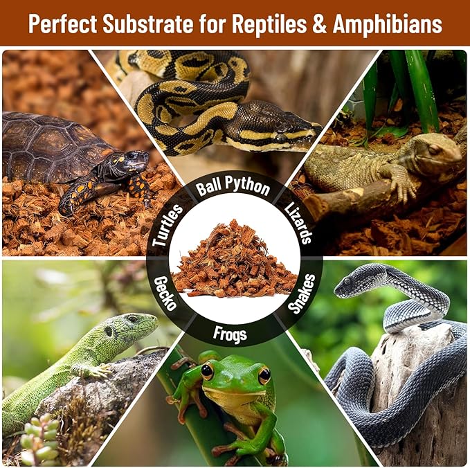 Riare 6 Pack Natural Coconut Chip Substrate for Reptiles- Compressed Coconut Husk Reptiles Bedding, Coco Husk Chip Terrarium Substrate for Snakes, Tortoises, Ball Python, Frogs, Bearded Dragon, Lizard Riare