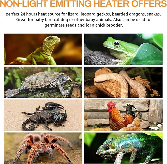 Simple Deluxe 150W Ceramic Heat Lamp Reptile Heat Emitter Heater Lamp Bulb No Light with Free Digital-Thermometer, for Pet Brooder Coop Chicken, Dragon Turtle Lizard Snake Aquarium Tank SimpleDeluxe