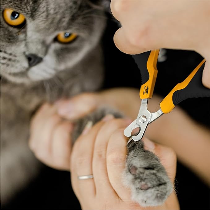 Mr. Pen- Cat Nail Clipper, Cat Nail Trimmer, Cat Nail Clippers, Cat Claw Clippers, Cat Clippers for Nails, Pet Nail Clippers, Kitten Nail Clipper Small Dog Nail Clipper, Cat Claw Trimmer, Orange/Black - PAWPICO