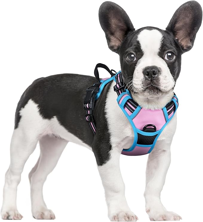 rabbitgoo Dog Harness No Pull with 2 Leash Clips, Adjustable Soft Padded, Reflective Oxford No Choke Pet Vest with Easy Control Handle for Small Dogs, Pink & Blue, S rabbitgoo
