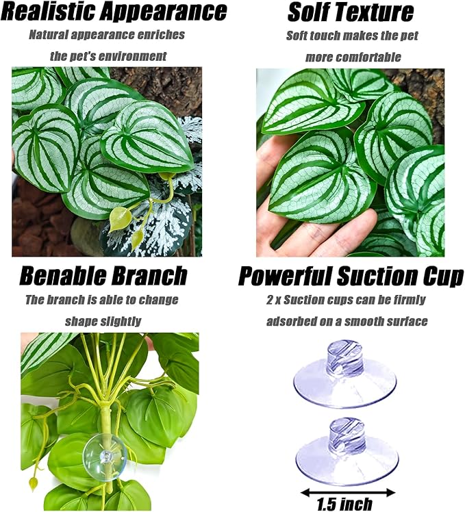 Woyrise 2 Pack Reptile Plants, Terrarium Hanging Plant Vines, Artificial Leaves with Suction Cup, Bearded Dragon Tank Accessories for Gecko Lizard Snake Frog Tortoise Decorations - Calathea Orbifolia Woyrise