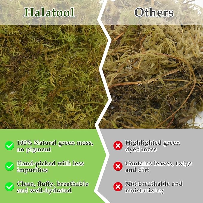 Halatool 2.2LB Natural Sphagnum Moss for Reptiles- 50QT Green Live Moss for Terrarium Plants Long Fiber Reptile Moss for Leopard Gecko Snake Hamsters Tortoises Frogs Lizards Salamanders HALATOOL