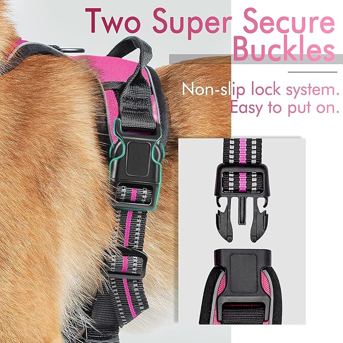 rabbitgoo Dog Harness, No-Pull Pet Harness with 2 Leash Clips, Adjustable Soft Padded Dog Vest, Reflective No-Choke Pet Oxford Vest with Easy Control Handle for Medium Dogs, Hot Pink, M - PAWPICO