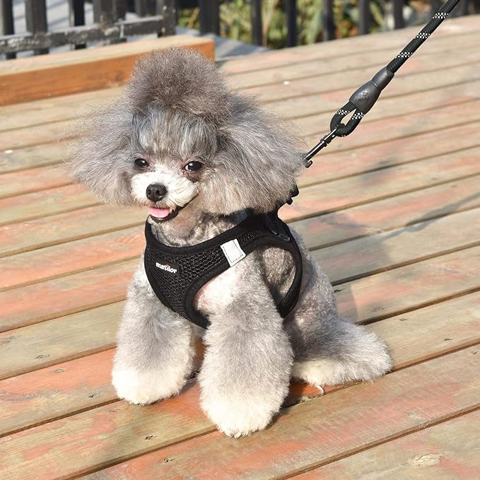 Dog Harness Step-in Breathable Puppy Cat Dog Vest Harnesses for Small Medium Dogs Black matilor
