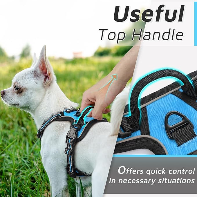 Eagloo Small Dog Harness No Pull, Service Vest with Reflective Strips and Control Handle, Adjustable and Comfortable for Easy Walking, No Choke Pet Harness with 2 Metal Rings, Sky Blue, XS GoExplorewithEagloo