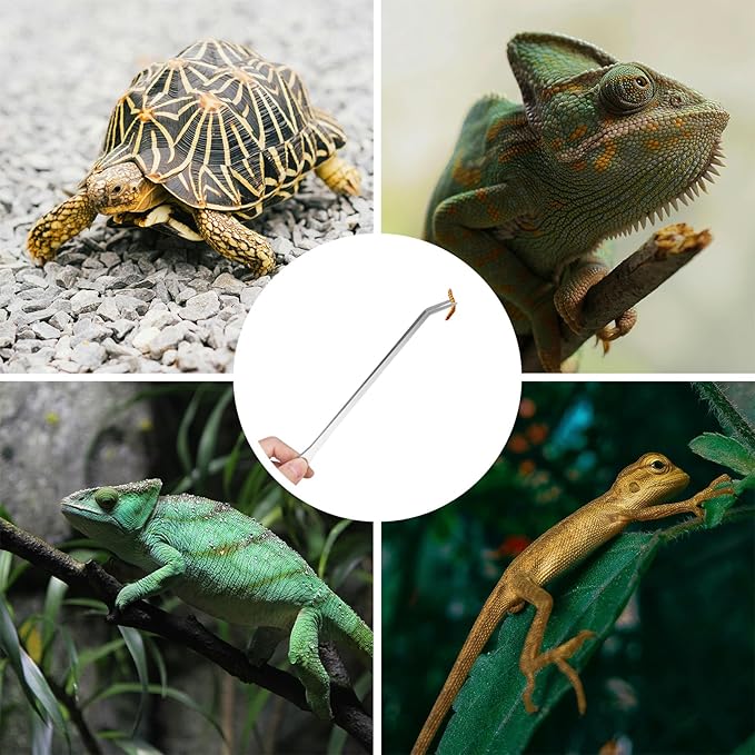 2PCS Long Aquarium Tweezers - 10.6" Straight and Curved Tweezers, Stainless Steel Reptile Feeding tongs, Terrarium Aquascape Tools Feeder for Lizards, Bearded Dragon Snake Tank Accessories Fri4Free
