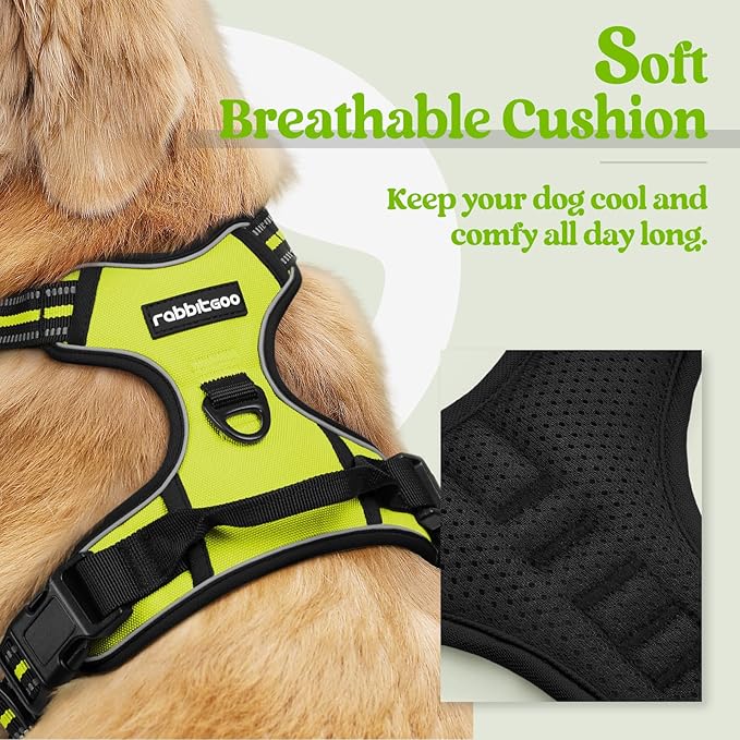 rabbitgoo Dog Harness No Pull with 2 Leash Clips, Adjustable Soft Padded, Reflective Oxford No Choke Pet Vest with Easy Control Handle for Small Dogs, Wild Lime,S rabbitgoo