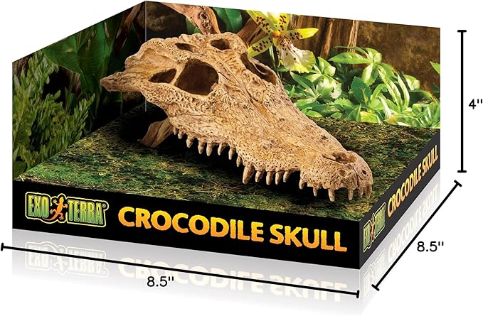 Exo Terra Croc Skull Terrarium Decor LQ - Ideal for Reptiles & Amphibians | Secure Hiding Place, Multiple Entrances, Perfect for Desert & Rainforest Setups | Adds Exciting Accent to Any Habitat ExoTerra