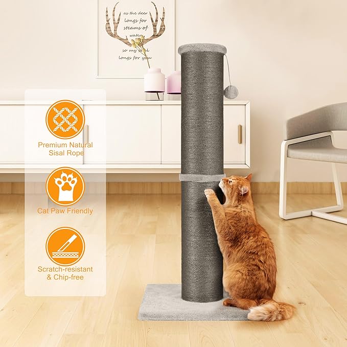 PAWSCRAT Cat Scratching Post 32 Inch High, 5.5 Inch Large Diameter Natural Sisal Cat Scratch Post, Scratch-Resistant and Durable Tall Cat Scratcher for Indoor Cats, Protect Your Furniture, Gery - PAWPICO