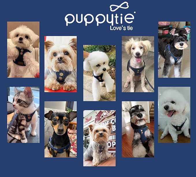 No Pull Dog Harness with Multifunction Dog Leash,Soft Adjustable No Choke Escape Proof Pet Harness Vest for Medium Dogs or Large Dogs,Denim Blue,M Puppytie