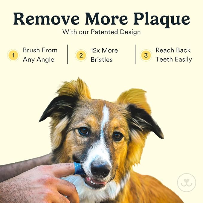Jasper Dog Toothbrush, 360-Degree Silicone Dog Finger Toothbrush with Storage Cases, Dog Tooth Brushing Kit, Dog Teeth Cleaning Kit for Medium and Large Dogs, Use with Dog Toothpaste, 2-Pack Clear JASPER%C2%AE