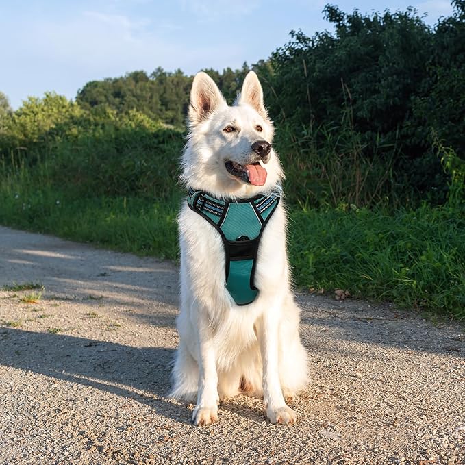 Eagloo Dog Harness Large Breed, No Pull Service Vest with Reflective Strips and Control Handle, Adjustable and Comfortable for Easy Walking, No Choke Pet Harness with 2 Metal Rings, Dark Green, XL GoExplorewithEagloo