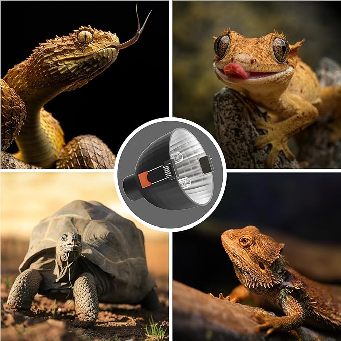Briignite Reptile Heat Lamp Fixture, Max 100W - 4.3 inch Light Fixture with Dimmable Temperature Switches, G9 Heat Bulb & Dome UVB Light Perfect for Reptile Terrariums and Tortoise Habitats WelcometoBriigniteenjoyyourshopping