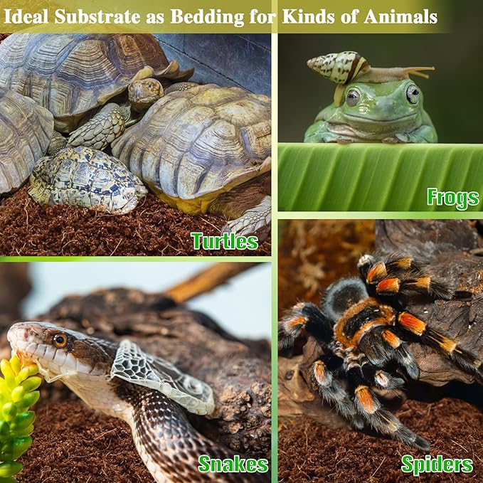 ZeeDix 6Pcs Compressed Coconut Fiber Substrate for Reptiles, 100% Organic Coco Coir Fiber Brick Substrate Fluffy Bearded Dragon Tortoise Snake Terrarium Substrate Loose Natural Husk Terrarium Bedding ZeeDix