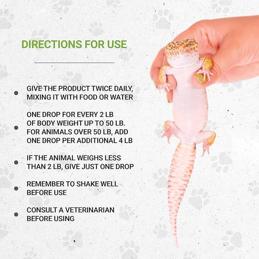 Reptilian Bones | Natural Herbal Dietary Pet Supplement for Reptiles | Support Healthy Bones | Alcohol-Free Extract, Stinging Nettle Leaf, Plantain, Dandelion Leaf, Gotu Kola, Turmeric 2 oz SecretsOfTheTribe