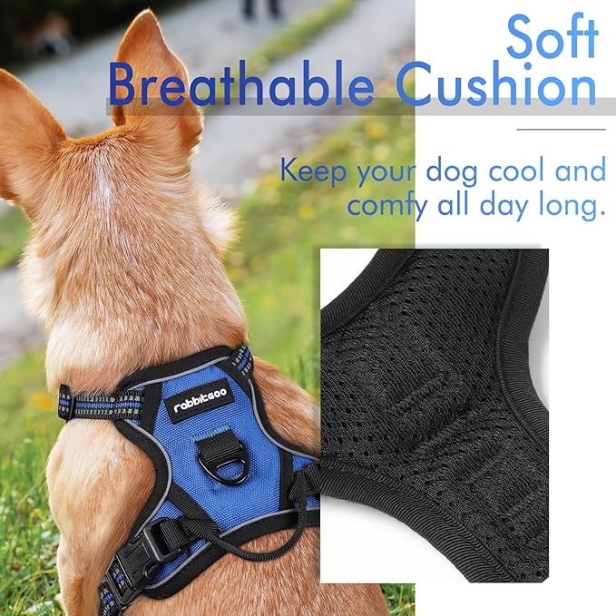 rabbitgoo Dog Harness, No-Pull Pet Harness with 2 Leash Clips, Adjustable Soft Padded Dog Vest, Reflective No-Choke Pet Oxford Vest with Easy Control Handle for Small Dogs, Dazzling Blue,XS - PAWPICO