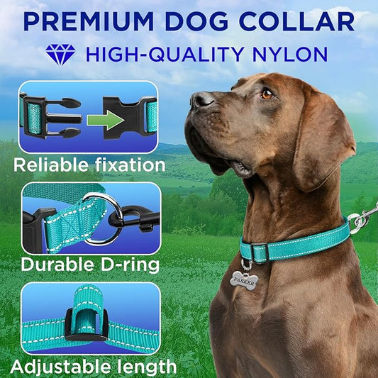 TECEUM Reflective Pet Collar – Teal – XS – Basic Nylon Dog Collar – Quick Release Buckle – Fits Small, Medium and Large Dogs, Puppies, Cats – ESA & Service Dog Options TECEUM
