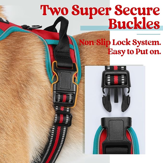 rabbitgoo Dog Harness, No-Pull Pet Harness with 2 Leash Clips, Adjustable Soft Padded Dog Vest, Reflective No-Choke Pet Oxford Vest with Easy Control Handle for Large Dogs, Red & Teal, L - PAWPICO