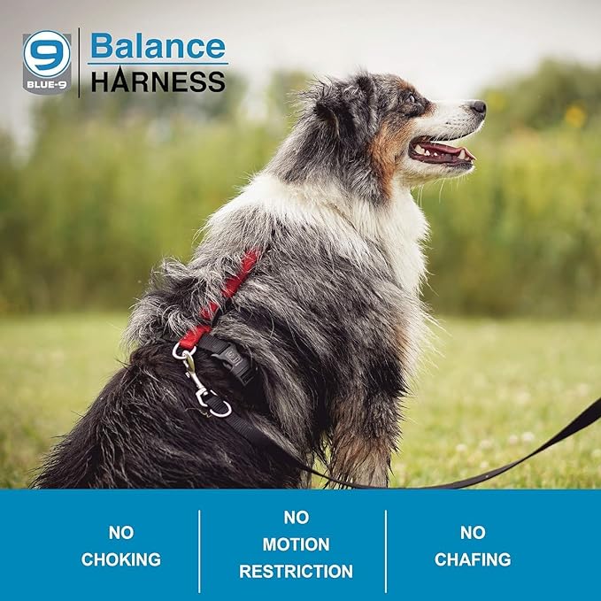 Blue-9 Buckle-Neck Balance Harness, Fully Customizable Fit No-Pull Harness, Ideal for Dog Training and Obedience, Made in The USA, Hot Pink, Small Blue-9