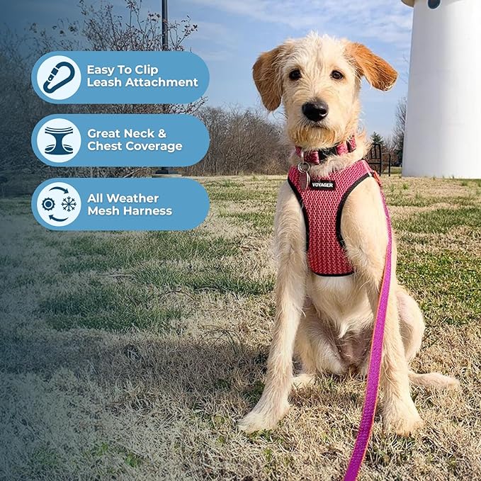 Voyager Step-in Air Dog Harness - All Weather Mesh, Reflective, No Pull Harness for Small, Medium Dogs, Cats - Secure with Hook & Loop Fastener, Buckle, Double D-Rings - Fuchsia 2-Tone, XL BestPetSuppliesLLC