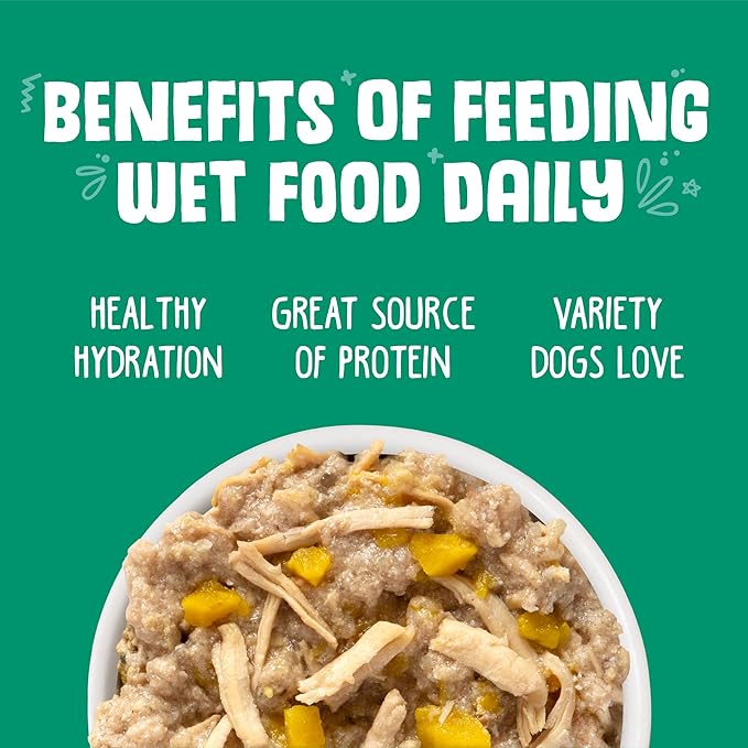 Weruva Classic Dog Food, That's My Jam! with Chicken & Lamb in Gelée, 5.5Oz Can (Pack of 24) - PAWPICO