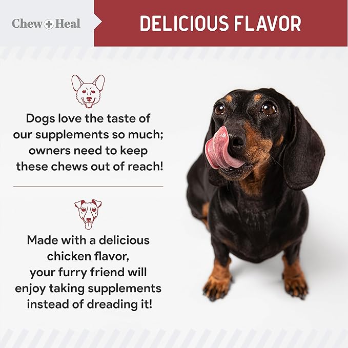 Chew + Heal UTI Treatment Cranberry Chews for Dogs - 240 Soft Chews - Supports Healthy Urinary Tract and Bladder Function - Corrects Imbalances - with Echinacea and Vitamin C ChewHeal