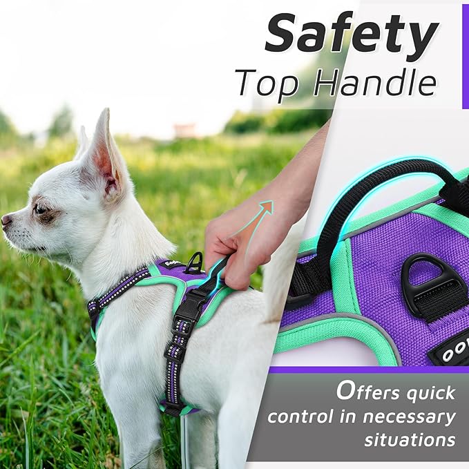 Eagloo Dog Harness for Large Dogs, No Pull Service Vest with Reflective Strips and Control Handle, Adjustable and Comfortable for Easy Walking, No Choke Harness with 2 Metal Rings, Purple & Green, XS GoExplorewithEagloo