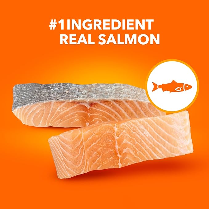 IAMS Proactive Health Adult Healthy Dry Cat Food with Salmon, 3.5 lb. Bag - PAWPICO