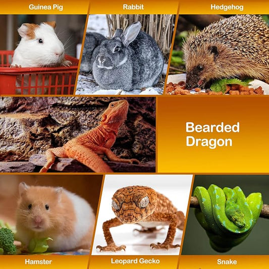 WATFOON Adjustable Lizard Leash Bearded Dragon Harness Leather Cool Wings Training Leashes Reptile Carrier Bearded Dragon Sling Carrier (Black, Leash + Grey Sling) WATFOONpets