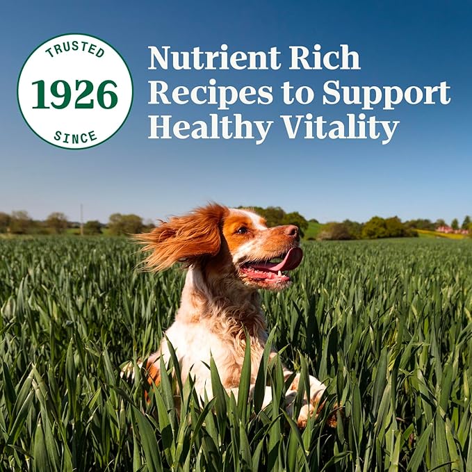 Nutro Natural Choice Adult Small Breed Dry Dog Food, Chicken and Brown Rice, 13 lbs. - PAWPICO