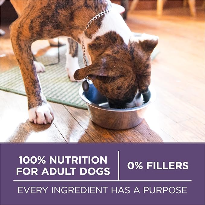 Purina ONE High Protein Dry Senior Dog Food Plus Vibrant Maturity Adult 7 Plus Formula - 16.5 lb. Bag - PAWPICO
