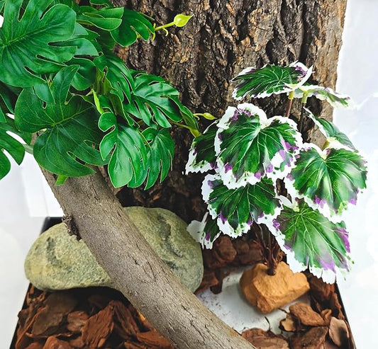 Woyrise Reptile Artificial Plants for Terrarium Decor, Amphibian Habitat Decorations Bearded Dragon Tank Accessories fit Crested Gecko Leopard Lizard Chameleon Snake Frog - White Edge Heuchera Woyrise