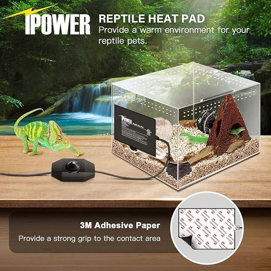 iPower 6 by 8-Inch Reptile Heat Mat with Temperature Adjustable Controller Knob, LCD Digital Aquarium Thermometer, Under Tank Warmer Terrarium Heat Pad for Reptiles and Amphibians iPower