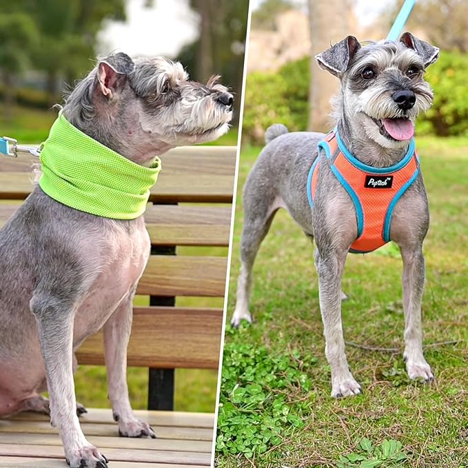PUPTECK Adjustable Dog Harness Collar and Leash Set Step in No Pull Pet Harness for Small Medium Dogs Puppy and Cats Outdoor Walking Running, Soft Mesh Padded Reflective Vest Harnesses, OrangeRed L PUPTECK