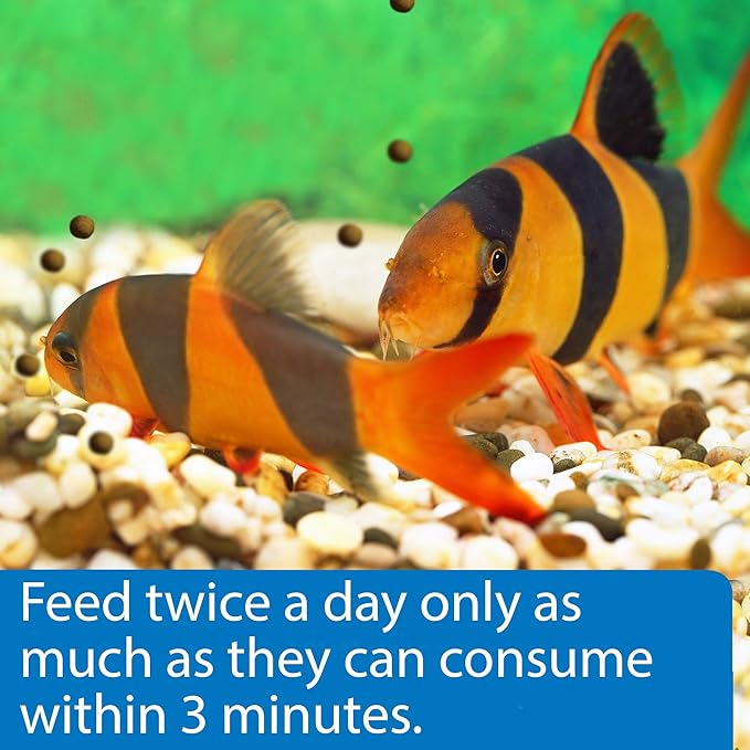 API BOTTOM FEEDER PELLETS WITH SHRIMP Fish Food 1.3-Ounce Container API