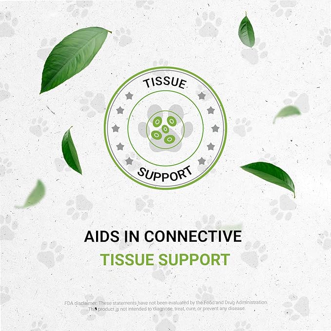 Reptilian Bones | Natural Herbal Dietary Pet Supplement for Reptiles | Support Healthy Bones | Alcohol-Free Extract, Stinging Nettle Leaf, Plantain, Dandelion Leaf, Gotu Kola, Turmeric 2 oz SecretsOfTheTribe