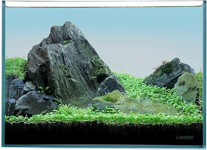 LANDEN 36N 5 Gallon Rimless Low Iron Aquarium Tank, 14.2" W × 8.7" D × 10.2" H (36cm x 22cm x 26cm) 5mm Thickness with Black Nano Foam Leveling mat Included Landen
