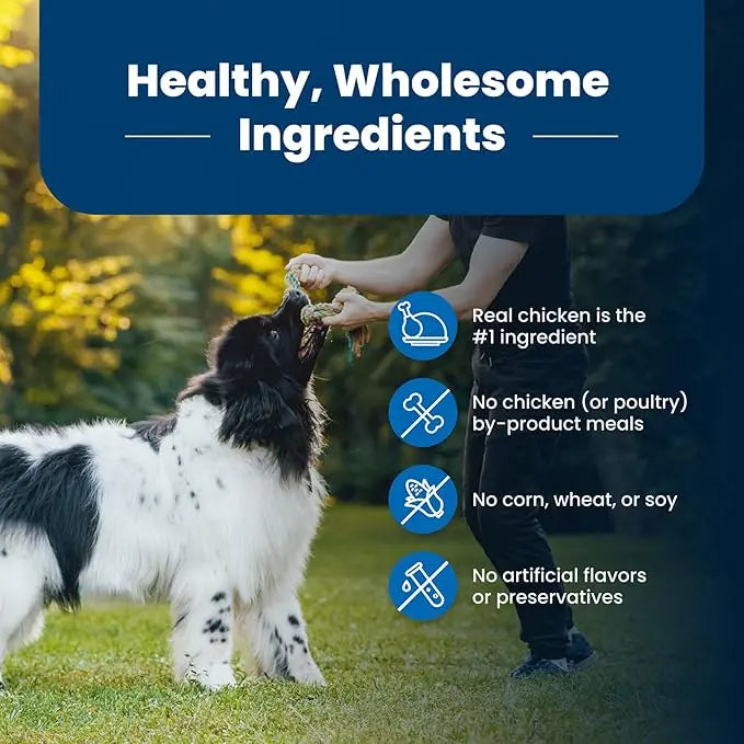 Blue Buffalo Life Protection Formula Adult Dry Dog Food, Helps Build and Maintain Strong Muscles, Made with Natural Ingredients, Chicken & Brown Rice Recipe, 30-lb. Bag - PAWPICO