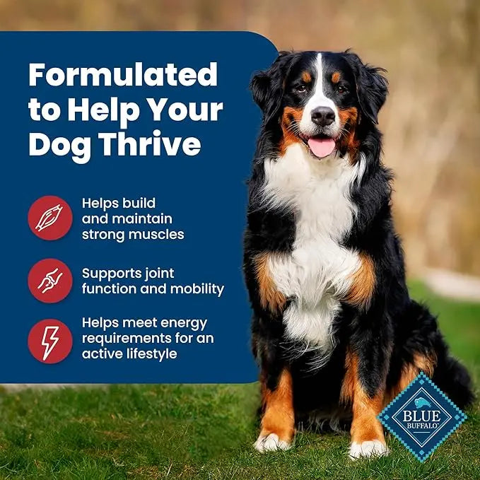 Blue Buffalo Life Protection Formula Adult Dry Dog Food, Helps Build and Maintain Strong Muscles, Made with Natural Ingredients, Beef & Brown Rice Recipe, 5-lb. Bag - PAWPICO