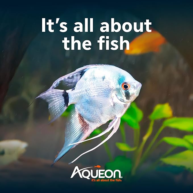 Aqueon Fish Tank Aquarium Essentials Starter Kit for 29 Gallon Tanks Aqueon