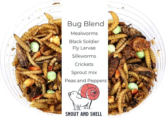 Snout and Shell - Hermit Crab Food - Bug Blend Mix with Mealworms, Crickets, Silkworm Pupae, Black Soldier Fly Larvae Veggies and More SNOUTANDSHELL