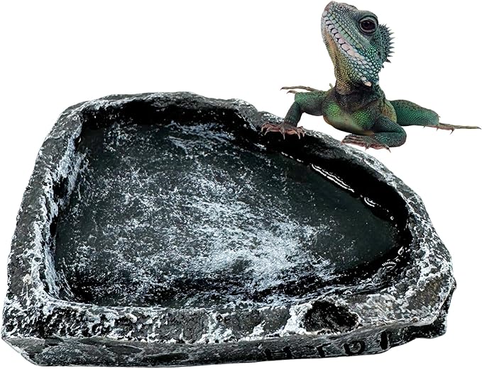 3 Pack Reptile Water Dish Food Bowl, Reptile Feeding Terrarium Bowls for Bearded Dragon Lizard Frog Gecko Tortoise Hermit Crab Snail (Black) CATDABIR