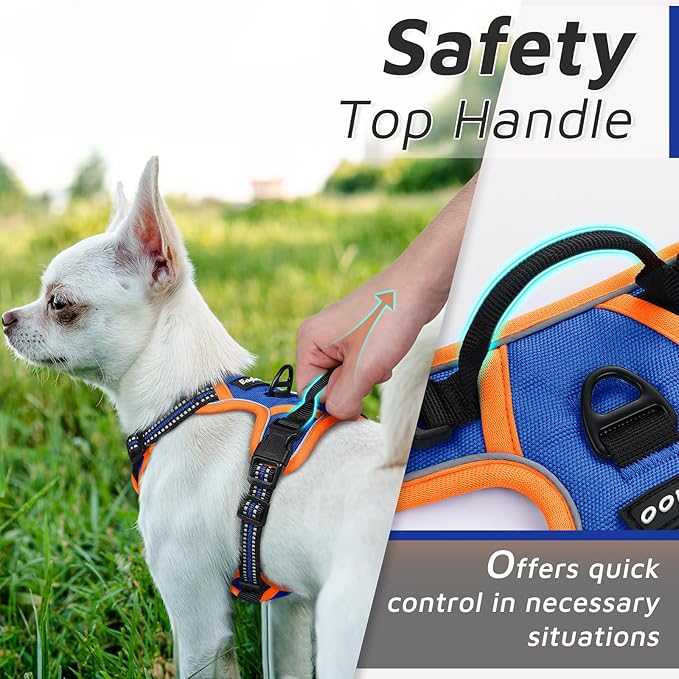 Eagloo Dog Harness for Large Dogs, No Pull Service Vest with Reflective Strips and Control Handle, Adjustable and Comfortable for Easy Walking, No Choke Harness with 2 Metal Rings, Blue & Orange, XS GoExplorewithEagloo