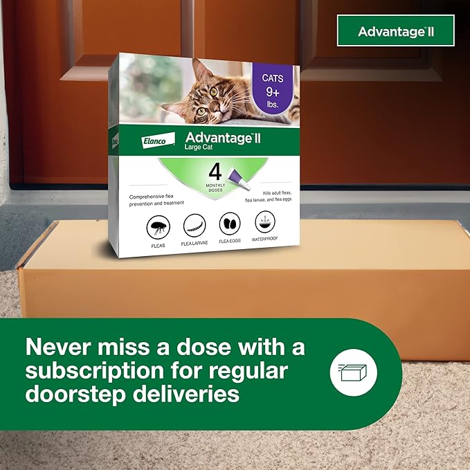 Advantage II Large Cat Vet-Recommended Flea Treatment & Prevention | Cats Over 9 lbs. | 4-Month Supply Advantage