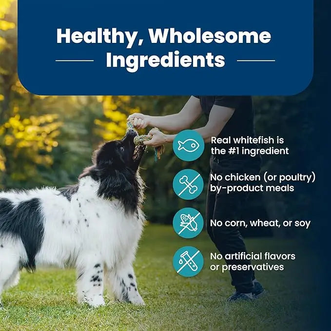 Blue Buffalo Life Protection Formula Adult Dry Dog Food, Helps Build and Maintain Strong Muscles, Made with Natural Ingredients, Fish & Brown Rice Recipe, 30-lb. Bag - PAWPICO