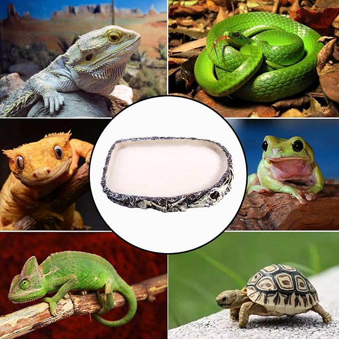 Tfwadmx 2 Pack Reptile Water Bowl Reptile Feeding Dish Reptile Feeder Food and Water Bearded Dragon Food Dish for Lizard Turtle Frog Leopard Gecko Snake Chameleon Tfwadmx