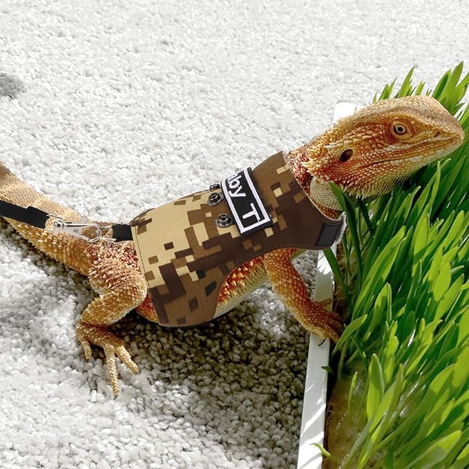 Hypeety Bearded Dragon Harness and Leash Set Adjustable Escape Proof Lizard Leash 4 Pack Outdoor Walking Training Leash and Harness for Bearded Dragon Lizard Reptiles (Coffee Color) Hypeety