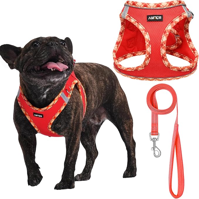 AMTOR Small Dog Harness with Leash Set, No Escape Easy Walk Puppy Harnesses for Training Walking, Step-in Reflective Soft Dogs Vest for XS S Medium Extra-Small Large Sized Dog(Red) AMTOR
