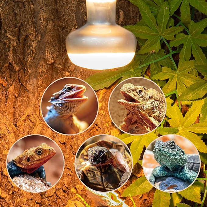 REPTI ZOO 2 Pack Heat Lamp 75W, Intense Basking Spot Simulated Natural Sunlight Heating Lamp Bulb, Heat Emitter UVA Heat Lamp Bulb for Reptile Chickens Pet Brooder REPTIZOO